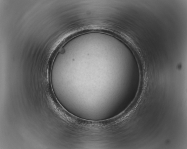 X0000116340934200912151325