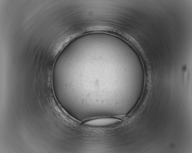 X0000116340937200912151325