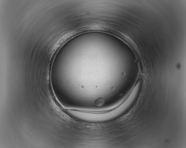 X0000116340938200912151325