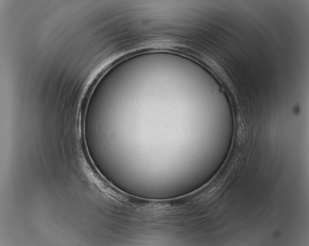 X0000116340939200912151325