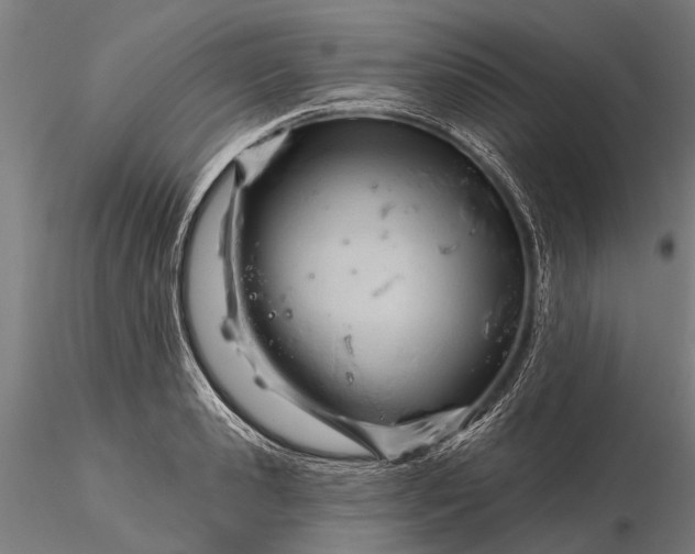 X0000116340941200912151325