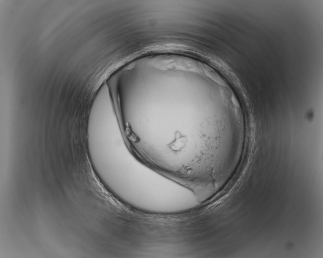 X0000116340945200912151325