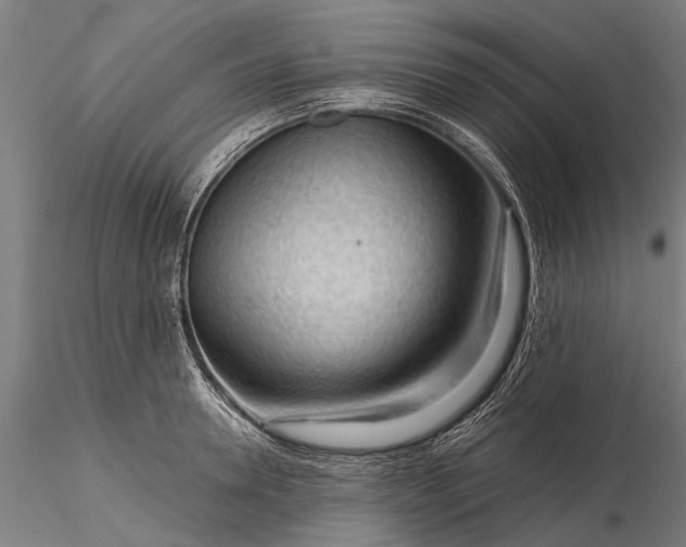 X0000116340946200912151325