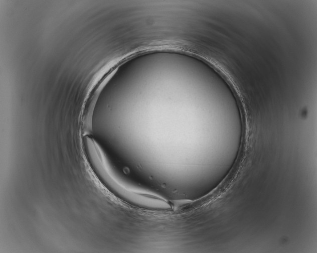 X0000116340949200912151325