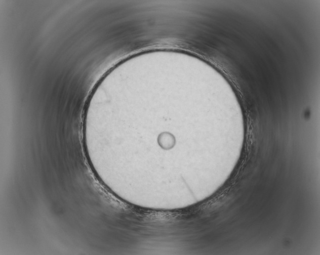 X0000116340950200912151325