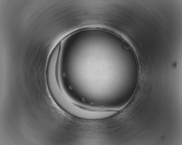 X0000116340951200912151325