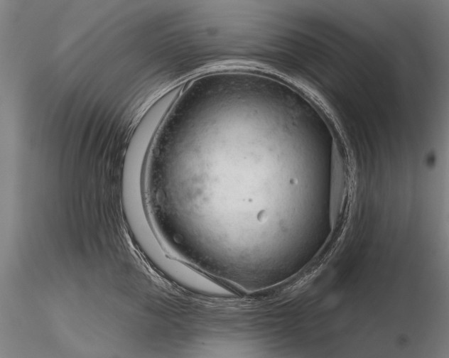 X0000116340953200912151325