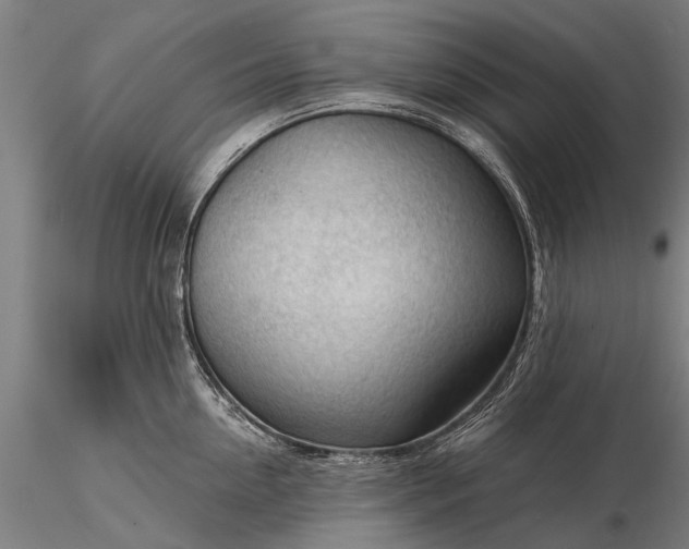 X0000116340954200912151325