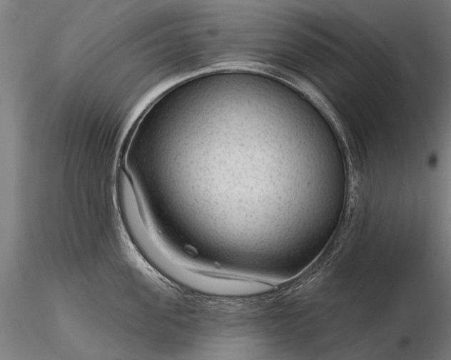 X0000116340955200912151325