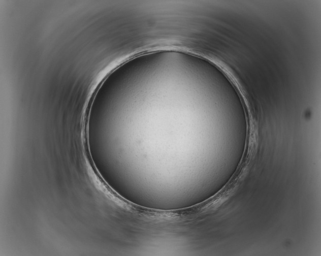 X0000116340957200912151325