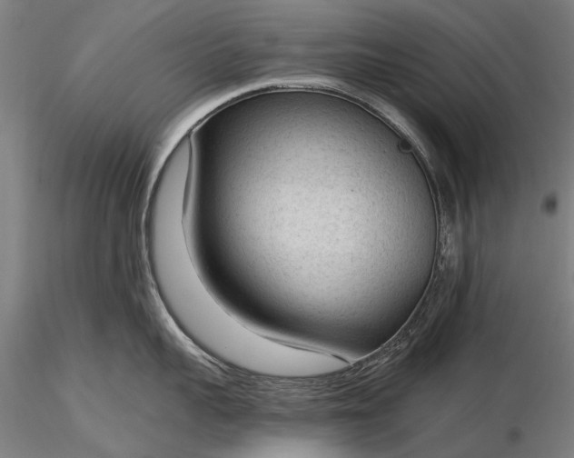 X0000116340959200912151325