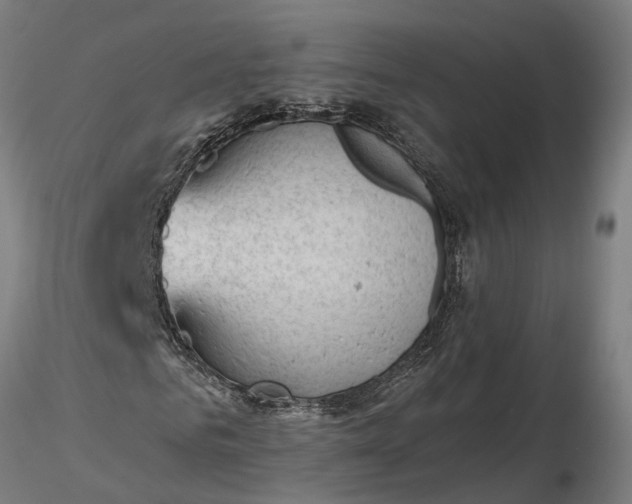 X0000116340961200912151324