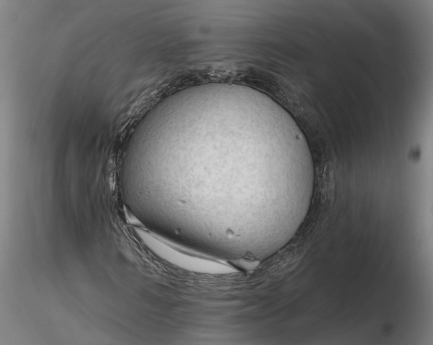 X0000116340962200912151324