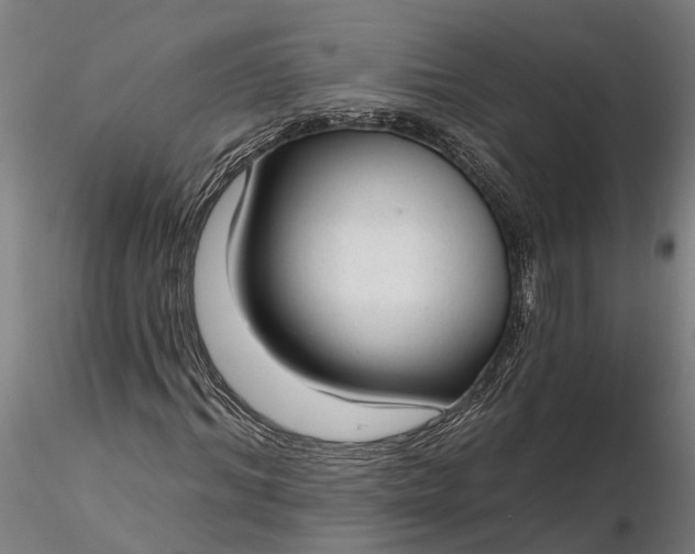 X0000116340964200912151324