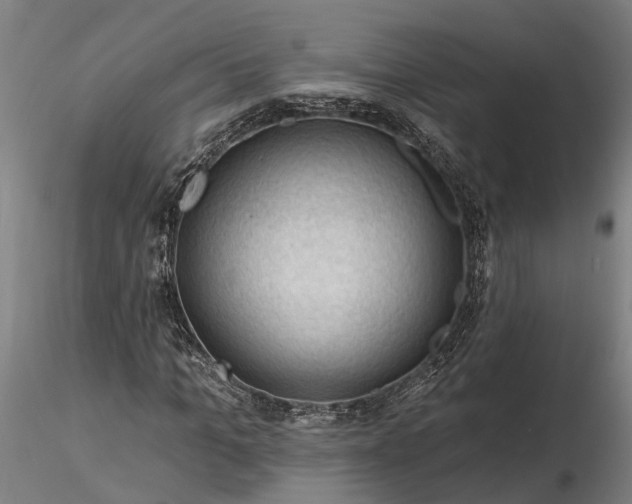 X0000116340965200912151324