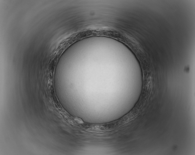 X0000116340966200912151324