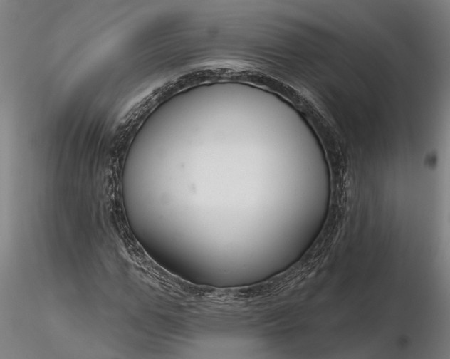 X0000116340967200912151324