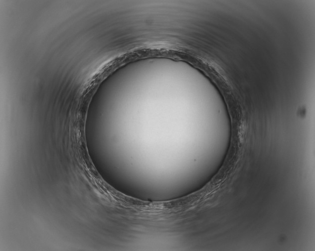 X0000116340968200912151324