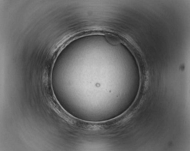 X0000116340969200912151324