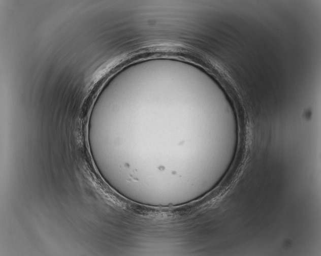 X0000116340970200912151324