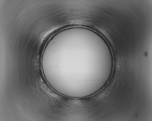 X0000116340971200912151324