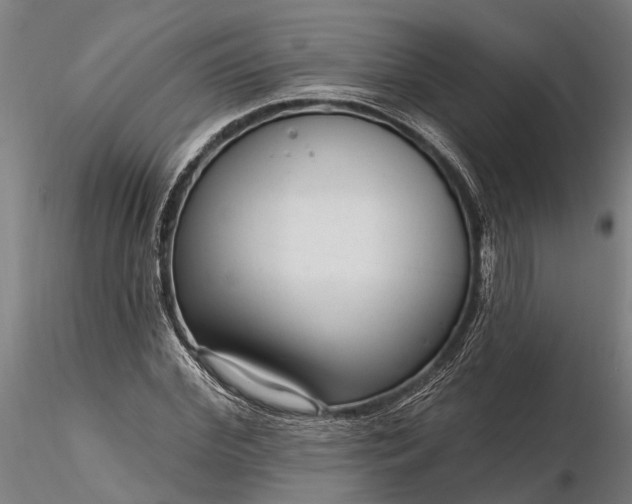 X0000116340972200912151324