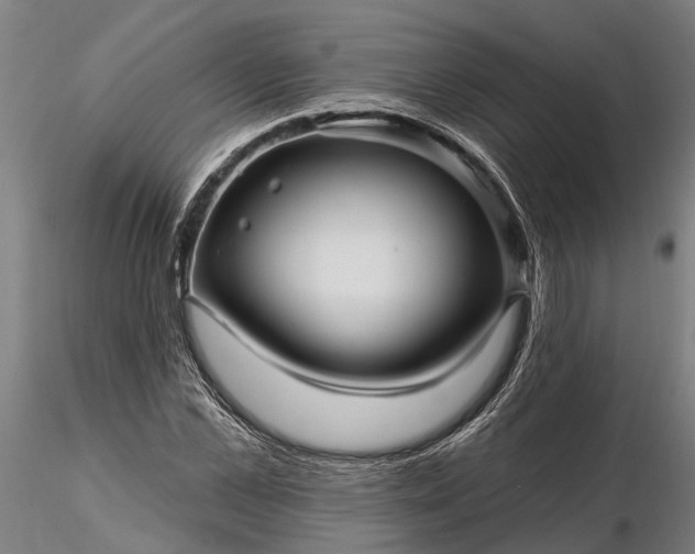 X0000116340973200912151324