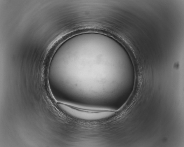 X0000116340975200912151324