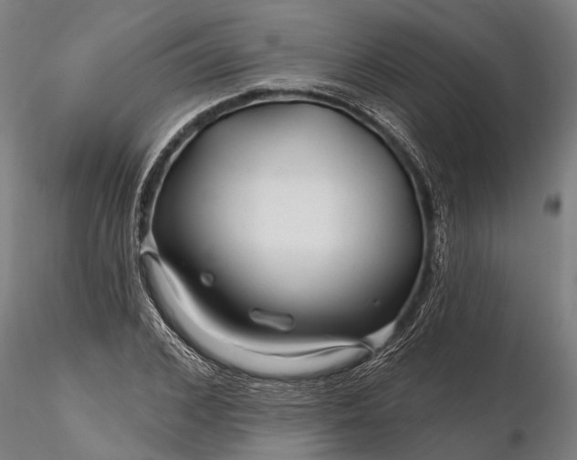 X0000116340976200912151324