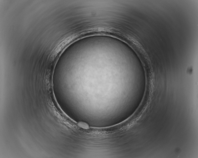 X0000116340977200912151324