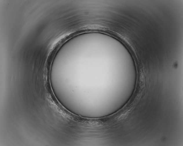 X0000116340979200912151324