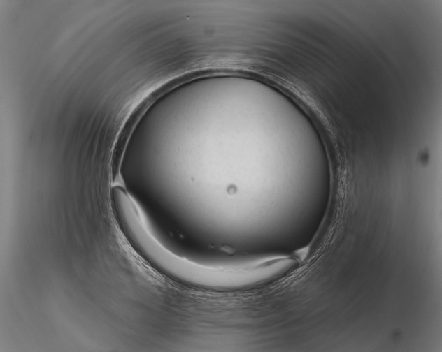 X0000116340980200912151324