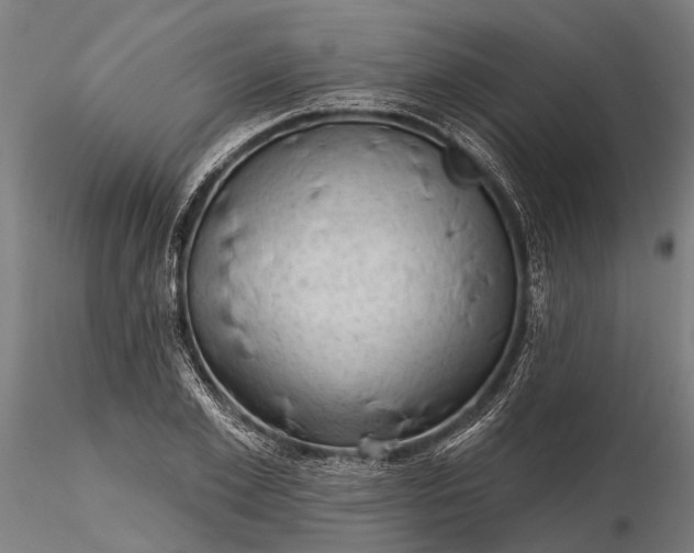 X0000116340981200912151324