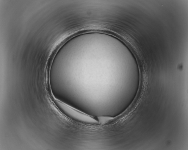 X0000116340982200912151324