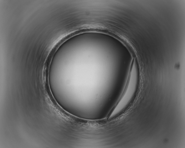 X0000116340983200912151324