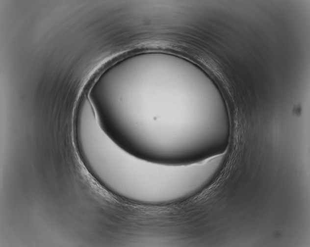 X0000116340984200912151324