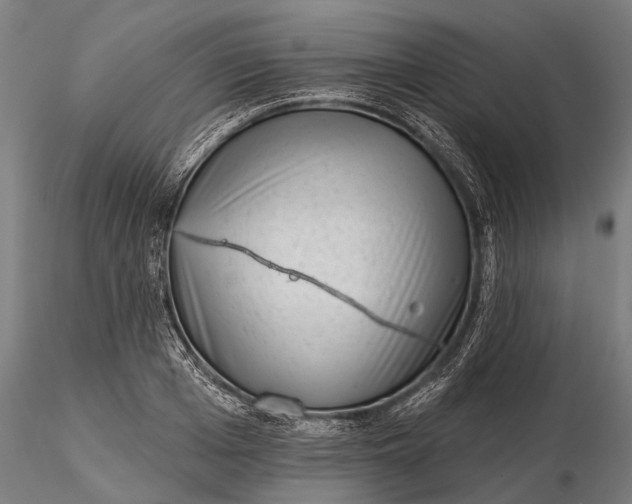 X0000116340985200912151324