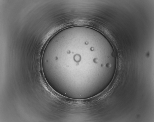 X0000116340986200912151324