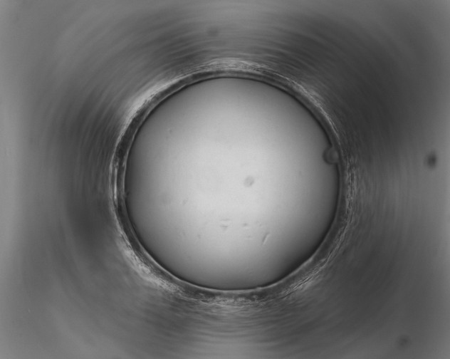 X0000116340987200912151324