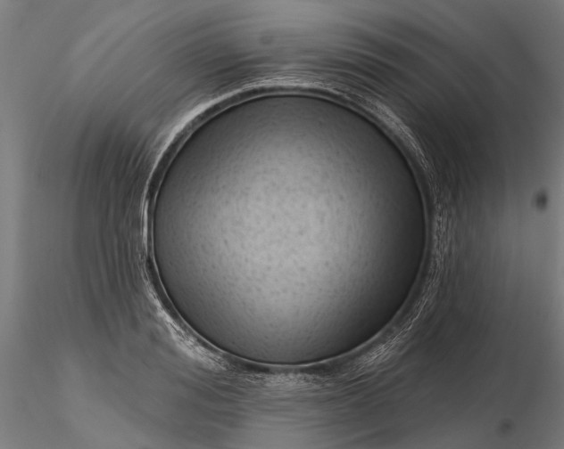 X0000116340988200912151324