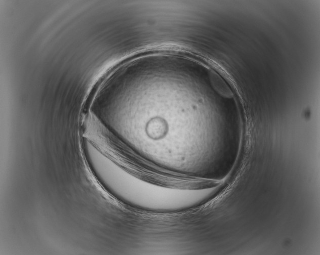 X0000116340989200912151324