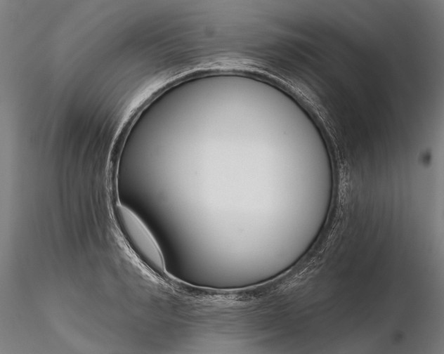 X0000116340990200912151324