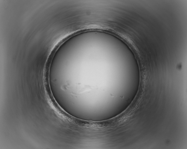 X0000116340991200912151324