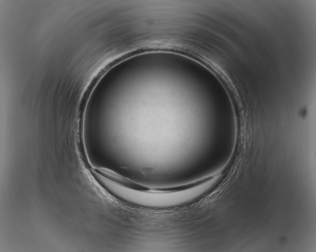 X0000116340992200912151324