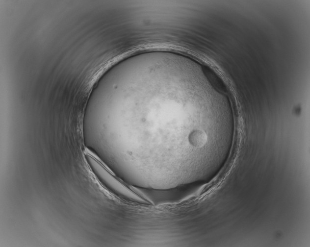 X0000116340993200912151324