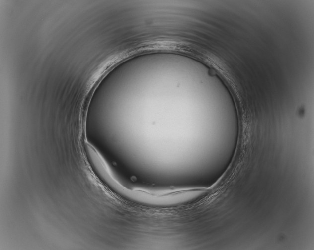 X0000116340994200912151324