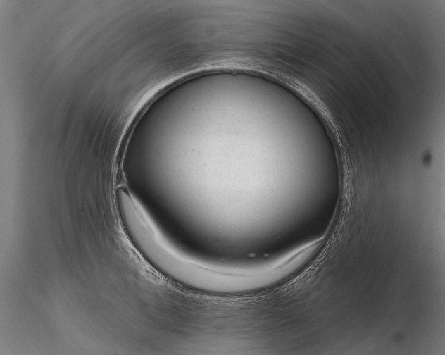 X0000116340996200912151324