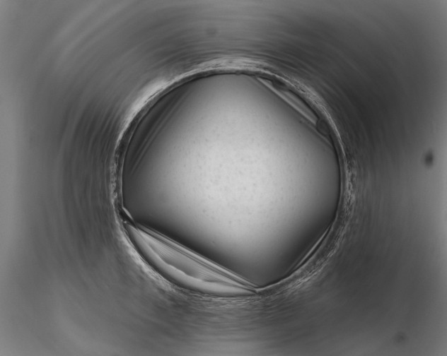 X0000116340997200912151324