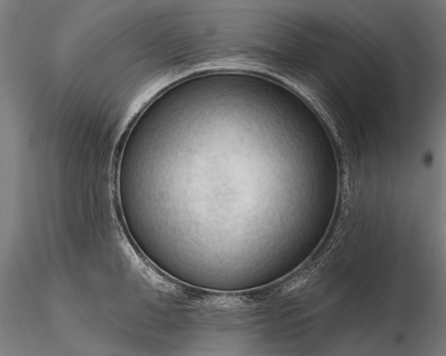 X0000116340998200912151324