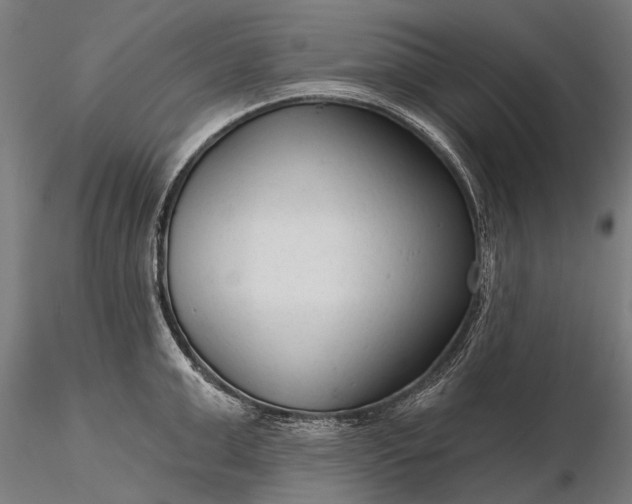 X0000116340999200912151324